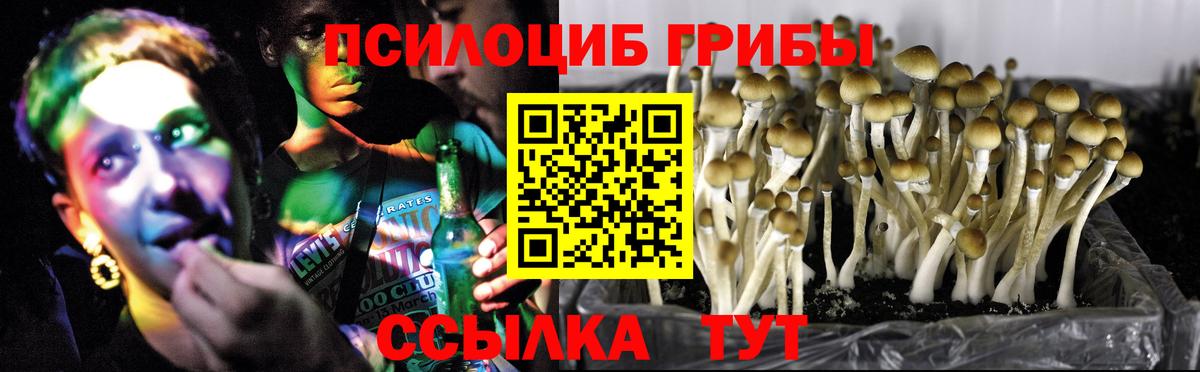 Псилоцибиновые грибы Cubensis  Вход с VPN  Вольск  Галлюциногенные грибы MAGIC MUSHROOMS 