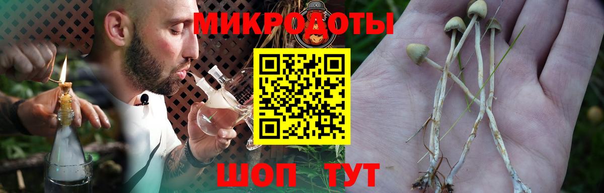 Галлюциногенные грибы мицелий Вольск