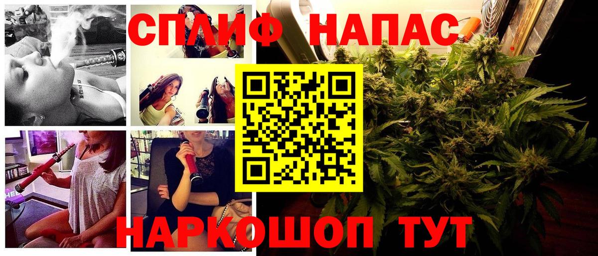Конопля конопля Вольск
